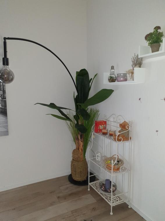 A Casa Di Elsa Apartment กาสเตนาโซ ภายนอก รูปภาพ