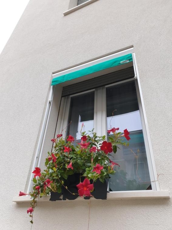 A Casa Di Elsa Apartment กาสเตนาโซ ภายนอก รูปภาพ